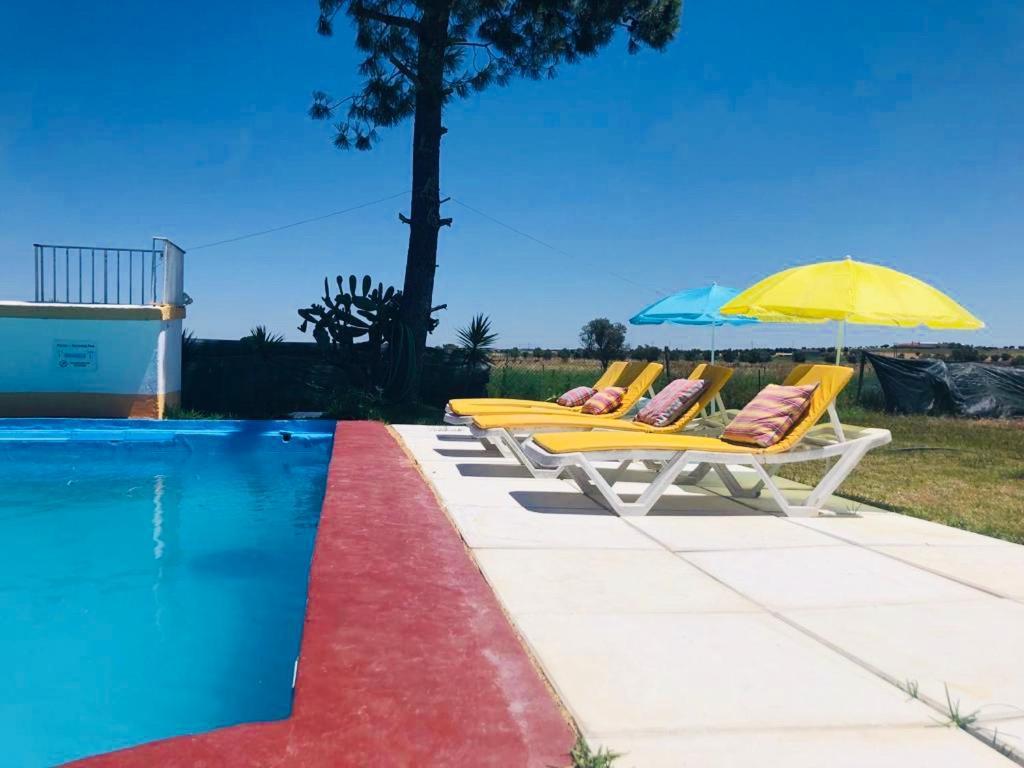 Monte Ramos Guest House Ferreira Do Alentejo Eksteriør bilde