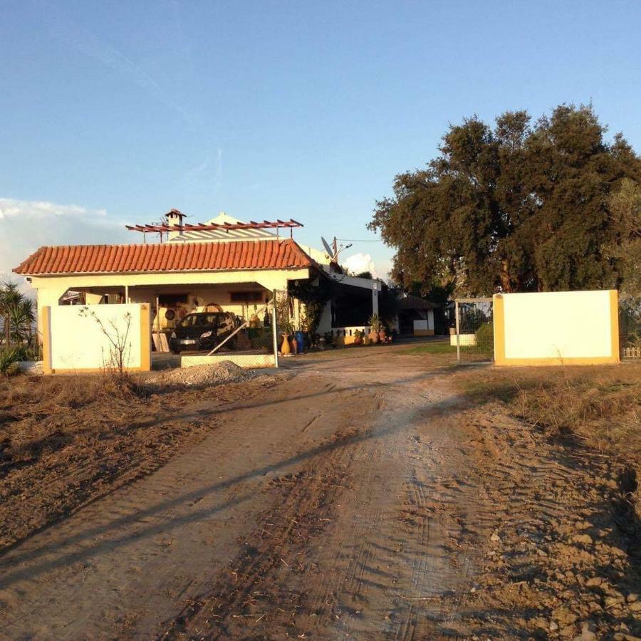 Monte Ramos Guest House Ferreira Do Alentejo Eksteriør bilde
